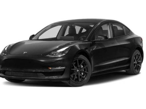 TESLA MODEL 3 2023 5YJ3E1EA2PF599596 image